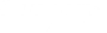 Gluegun